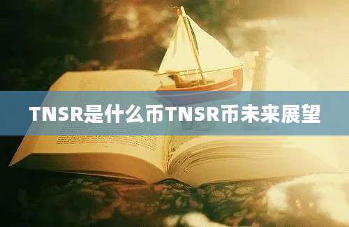 TNSR是什么币TNSR币未来展望