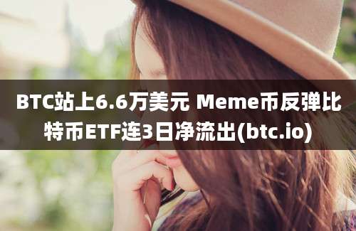 BTC站上6.6万美元 Meme币反弹比特币ETF连3日净流出(btc.io)