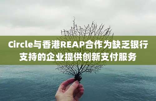 Circle与香港REAP合作为缺乏银行支持的企业提供创新支付服务