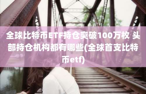 全球比特币ETF持仓突破100万枚 头部持仓机构都有哪些(全球首支比特币etf)