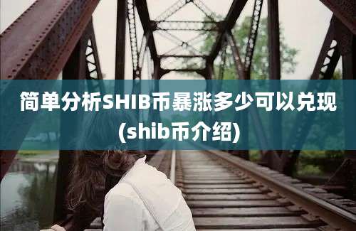 简单分析SHIB币暴涨多少可以兑现(shib币介绍)