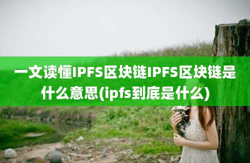 一文读懂IPFS区块链IPFS区块链是什么意思(ipfs到底是什么)