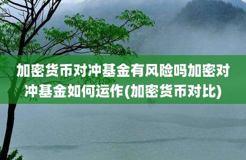 加密货币对冲基金有风险吗加密对冲基金如何运作(加密货币对比)