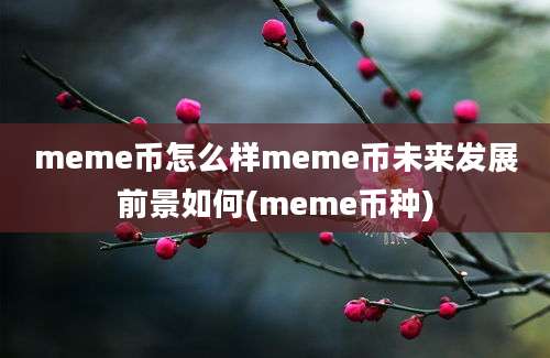 meme币怎么样meme币未来发展前景如何(meme币种)