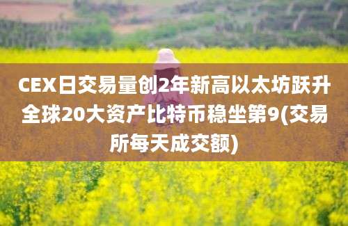 CEX日交易量创2年新高以太坊跃升全球20大资产比特币稳坐第9(交易所每天成交额)