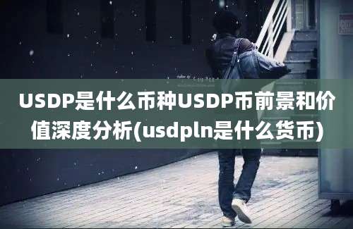 USDP是什么币种USDP币前景和价值深度分析(usdpln是什么货币)