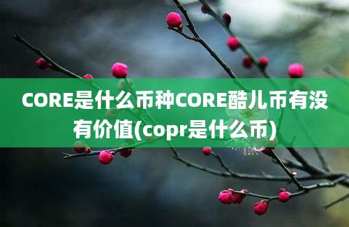 CORE是什么币种CORE酷儿币有没有价值(copr是什么币)