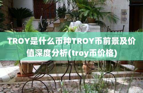 TROY是什么币种TROY币前景及价值深度分析(troy币价格)