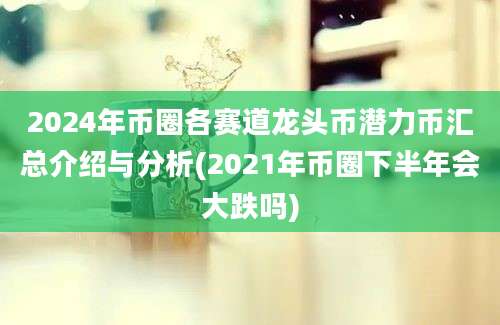 2024年币圈各赛道龙头币潜力币汇总介绍与分析(2021年币圈下半年会大跌吗)