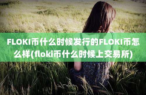 FLOKI币什么时候发行的FLOKI币怎么样(floki币什么时候上交易所)