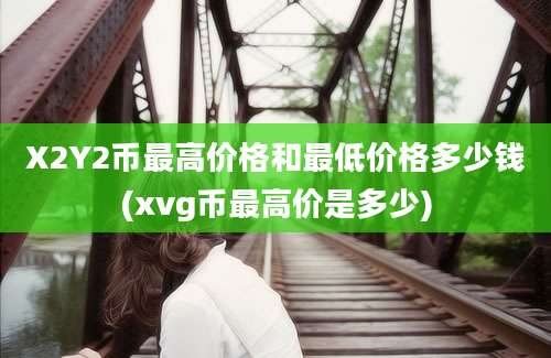 X2Y2币最高价格和最低价格多少钱(xvg币最高价是多少)