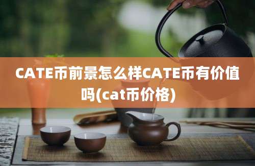 CATE币前景怎么样CATE币有价值吗(cat币价格)