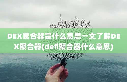 DEX聚合器是什么意思一文了解DEX聚合器(defi聚合器什么意思)