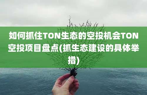 如何抓住TON生态的空投机会TON空投项目盘点(抓生态建设的具体举措)