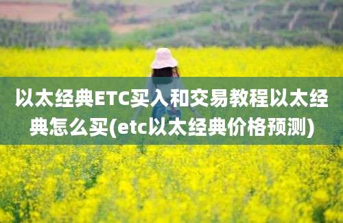 以太经典ETC买入和交易教程以太经典怎么买(etc以太经典价格预测)