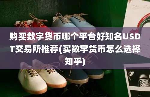 购买数字货币哪个平台好知名USDT交易所推荐(买数字货币怎么选择知乎)