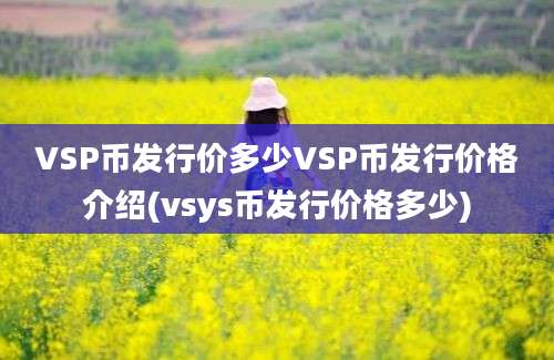 VSP币发行价多少VSP币发行价格介绍(vsys币发行价格多少)