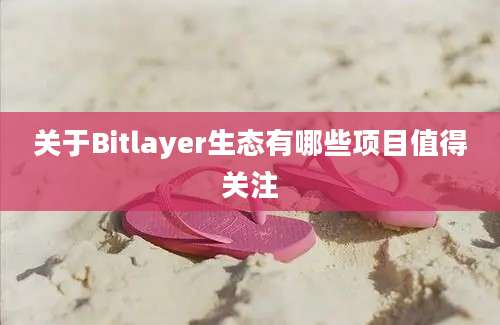 关于Bitlayer生态有哪些项目值得关注