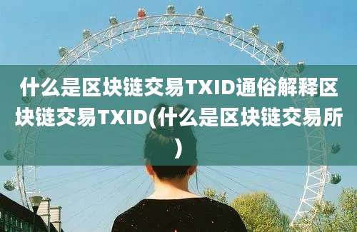 什么是区块链交易TXID通俗解释区块链交易TXID(什么是区块链交易所)