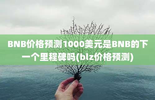 BNB价格预测1000美元是BNB的下一个里程碑吗(blz价格预测)