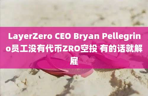 LayerZero CEO Bryan Pellegrino员工没有代币ZRO空投 有的话就解雇