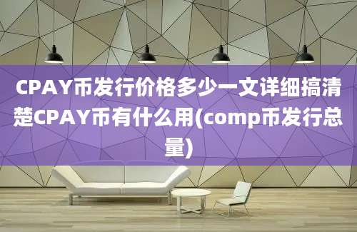 CPAY币发行价格多少一文详细搞清楚CPAY币有什么用(comp币发行总量)