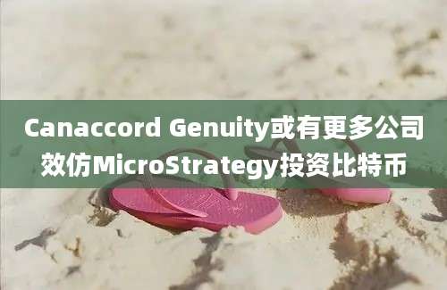 Canaccord Genuity或有更多公司效仿MicroStrategy投资比特币