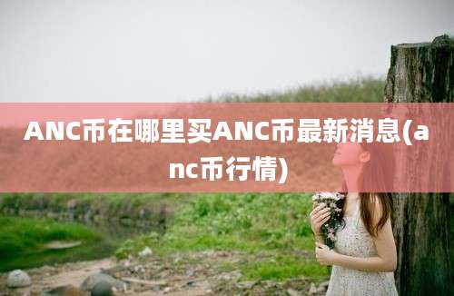 ANC币在哪里买ANC币最新消息(anc币行情)