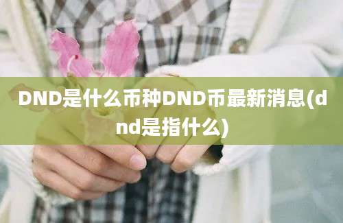 DND是什么币种DND币最新消息(dnd是指什么)