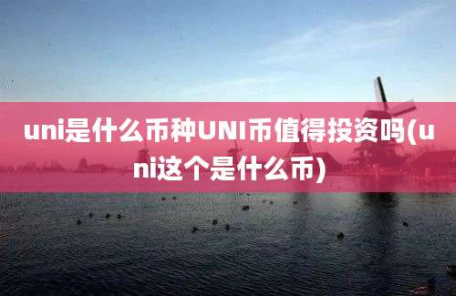 uni是什么币种UNI币值得投资吗(uni这个是什么币)