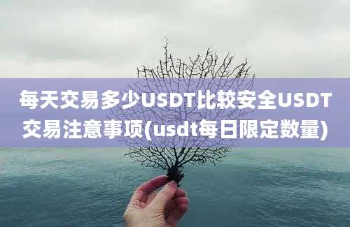 每天交易多少USDT比较安全USDT交易注意事项(usdt每日限定数量)