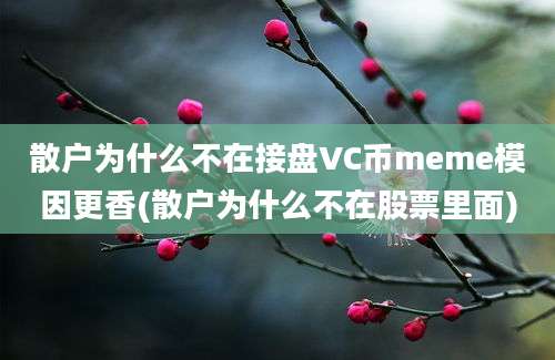 散户为什么不在接盘VC币meme模因更香(散户为什么不在股票里面)