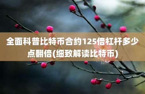 全面科普比特币合约125倍杠杆多少点翻倍(细致解读比特币)