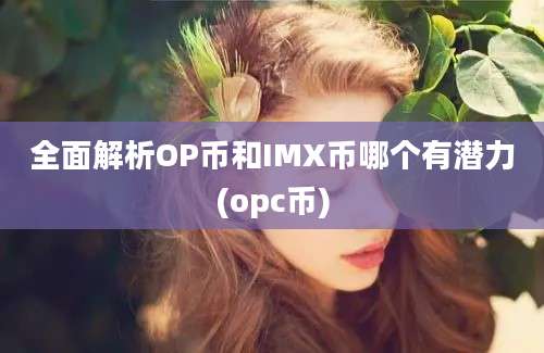 全面解析OP币和IMX币哪个有潜力(opc币)