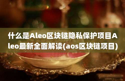 什么是Aleo区块链隐私保护项目Aleo最新全面解读(aos区块链项目)