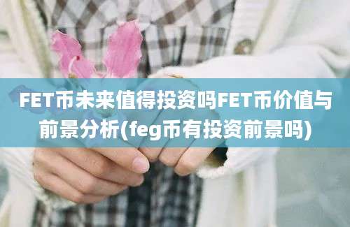 FET币未来值得投资吗FET币价值与前景分析(feg币有投资前景吗)