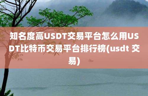 知名度高USDT交易平台怎么用USDT比特币交易平台排行榜(usdt 交易)