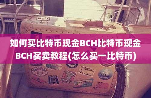 如何买比特币现金BCH比特币现金BCH买卖教程(怎么买一比特币)