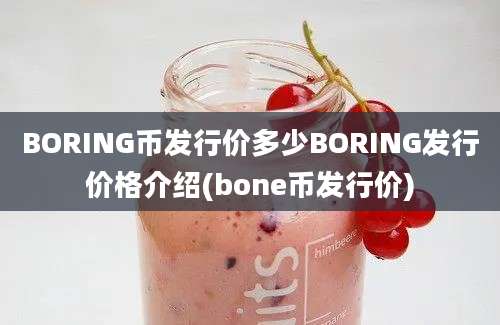 BORING币发行价多少BORING发行价格介绍(bone币发行价)