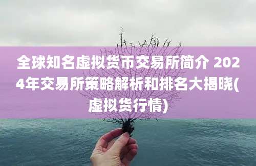 全球知名虚拟货币交易所简介 2024年交易所策略解析和排名大揭晓(虚拟货行情)