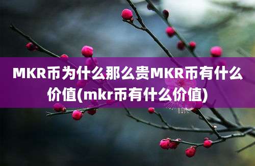 MKR币为什么那么贵MKR币有什么价值(mkr币有什么价值)