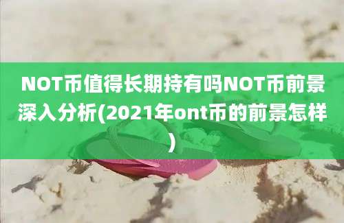 NOT币值得长期持有吗NOT币前景深入分析(2021年ont币的前景怎样)