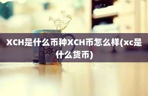 XCH是什么币种XCH币怎么样(xc是什么货币)