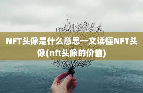 NFT头像是什么意思一文读懂NFT头像(nft头像的价值)