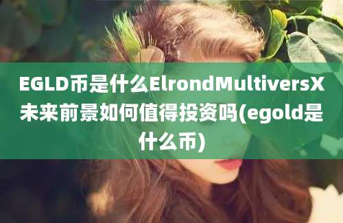 EGLD币是什么ElrondMultiversX未来前景如何值得投资吗(egold是什么币)