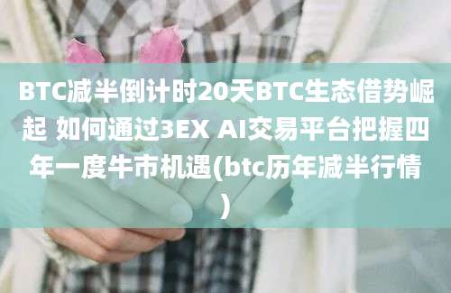 BTC减半倒计时20天BTC生态借势崛起 如何通过3EX AI交易平台把握四年一度牛市机遇(btc历年减半行情)