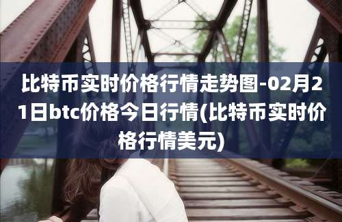 比特币实时价格行情走势图-02月21日btc价格今日行情(比特币实时价格行情美元)