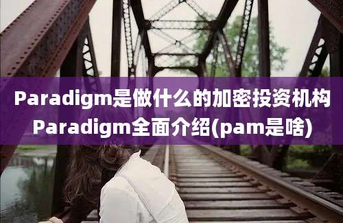 Paradigm是做什么的加密投资机构Paradigm全面介绍(pam是啥)