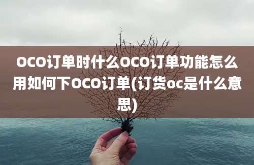 OCO订单时什么OCO订单功能怎么用如何下OCO订单(订货oc是什么意思)