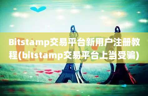 Bitstamp交易平台新用户注册教程(bitstamp交易平台上当受骗)